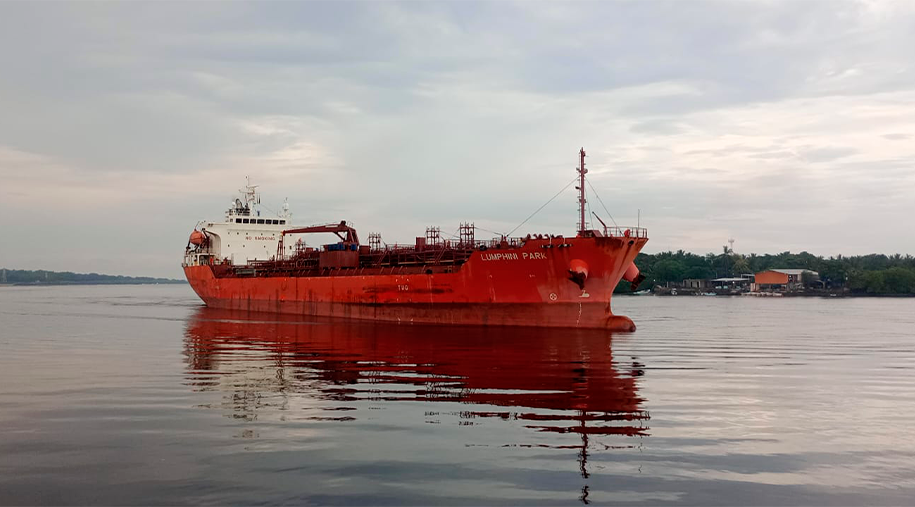 Arribo del buque granelero M/V NOMADIC HJELLESTAD