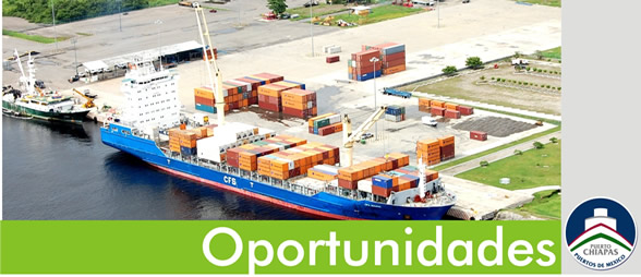 Oportunidades de Negocio