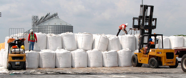 Puerto Chiapas is considered again the best option in sugar exports to the US